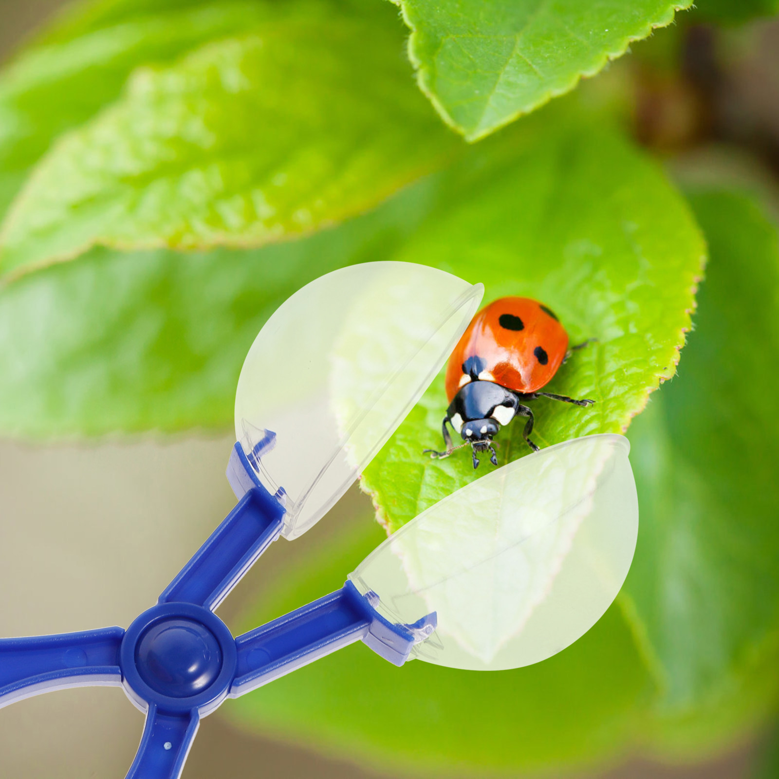 8-delige insectenvanger schaar - Kids Education Tools recensie en prijs