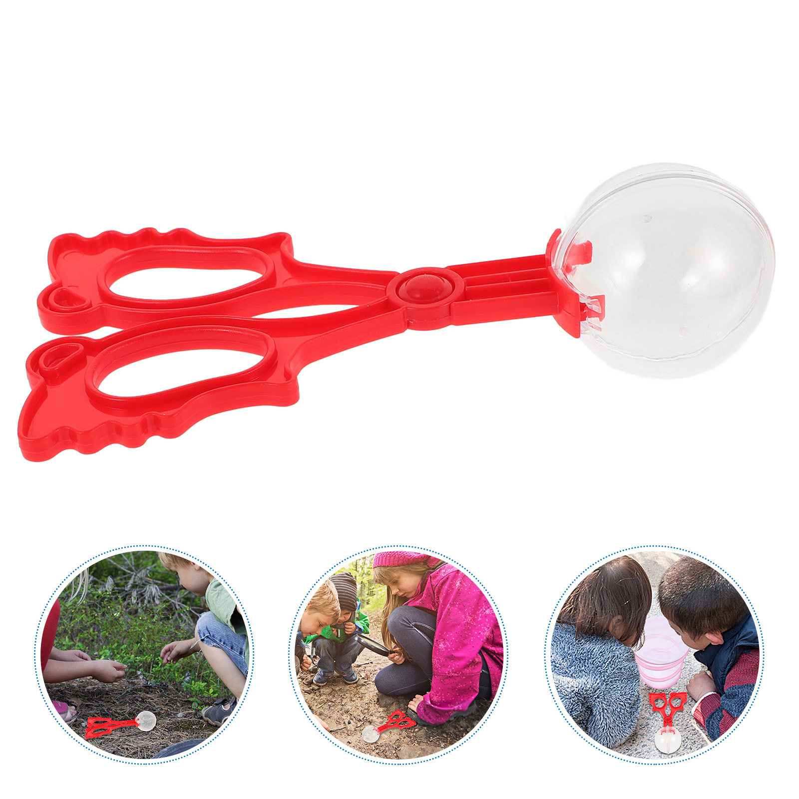 Insectenvangtangen Reptiel Vli - Kids Education Tools recensie en prijs